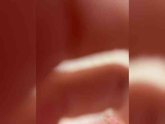 cat- webcam