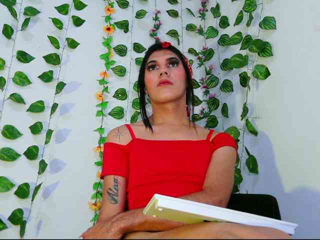 DulceAshley26 Live Webcam on BongaCams