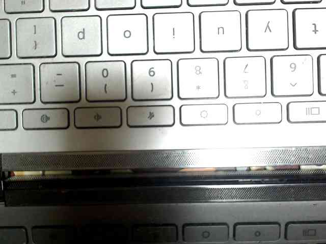 UWillMarryMyAss webcam