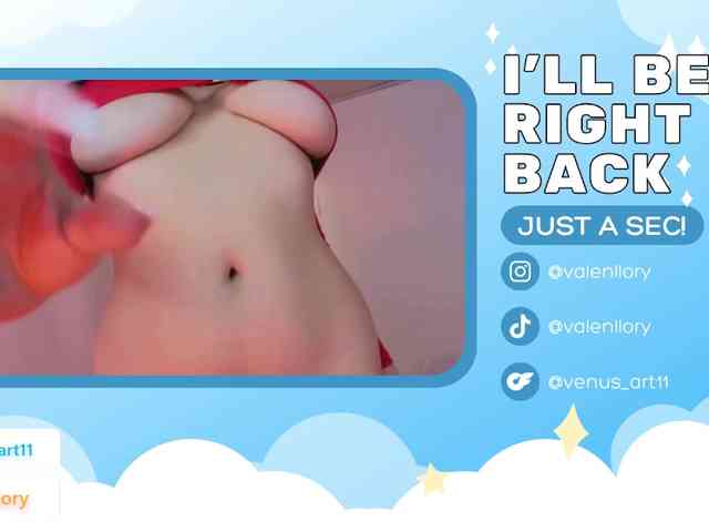 venusart webcam