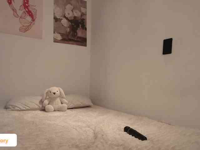 venusart webcam