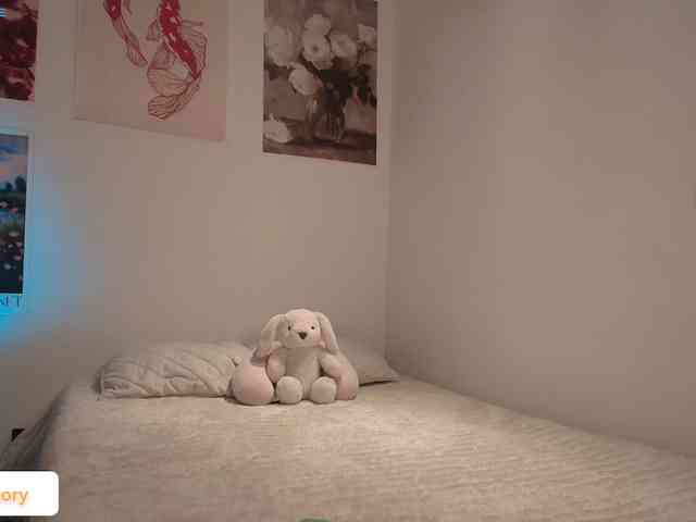 venusart webcam