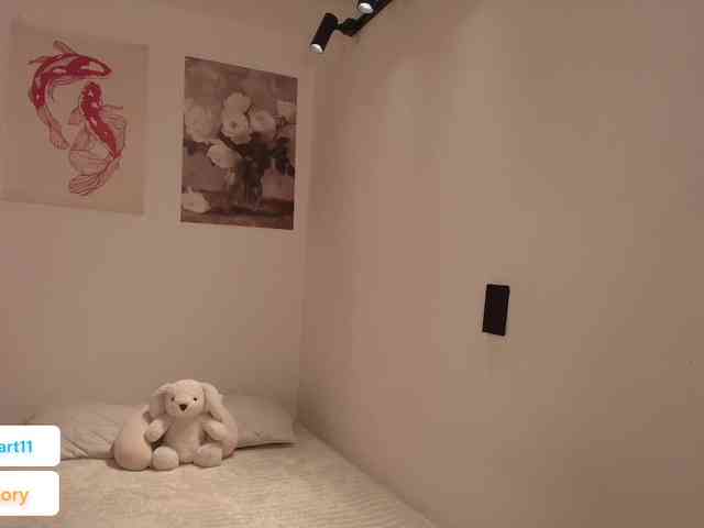 venusart webcam