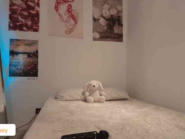 venusart webcam