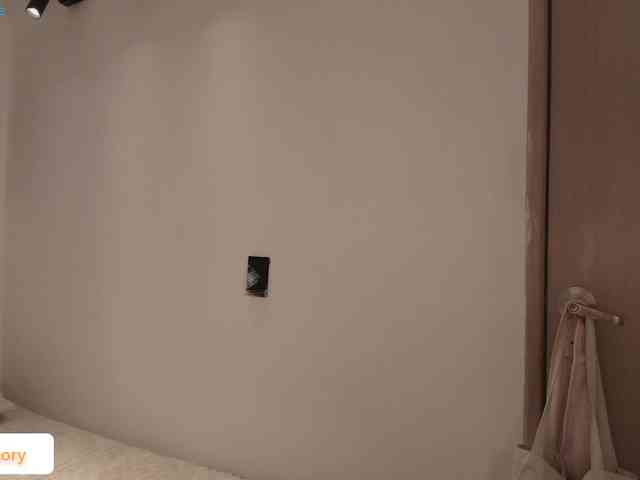 venusart webcam