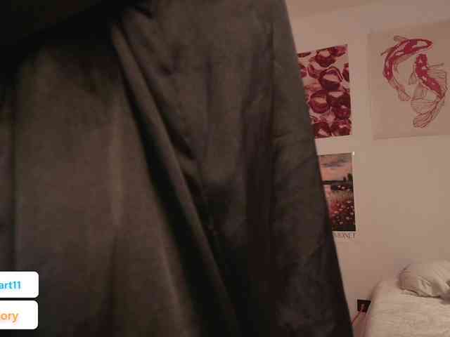 venusart webcam