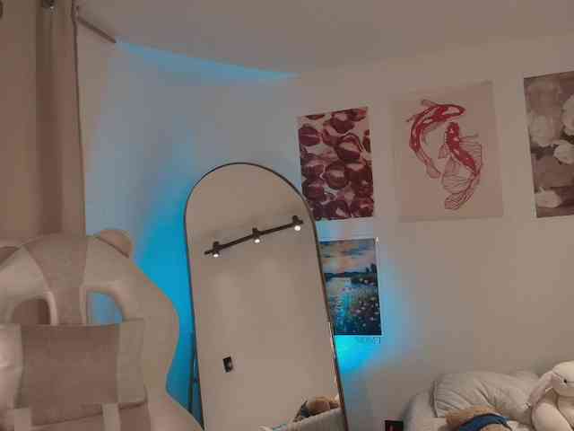 venusart webcam