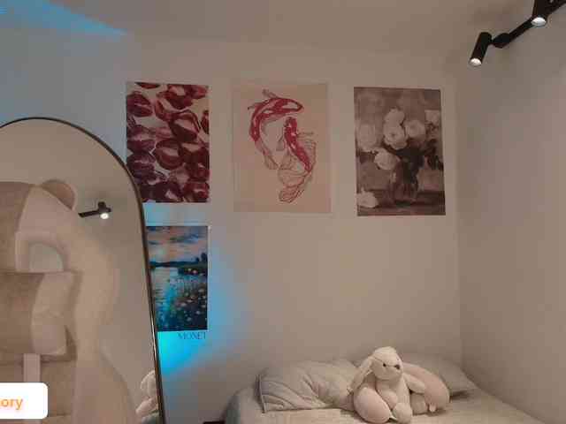 venusart webcam