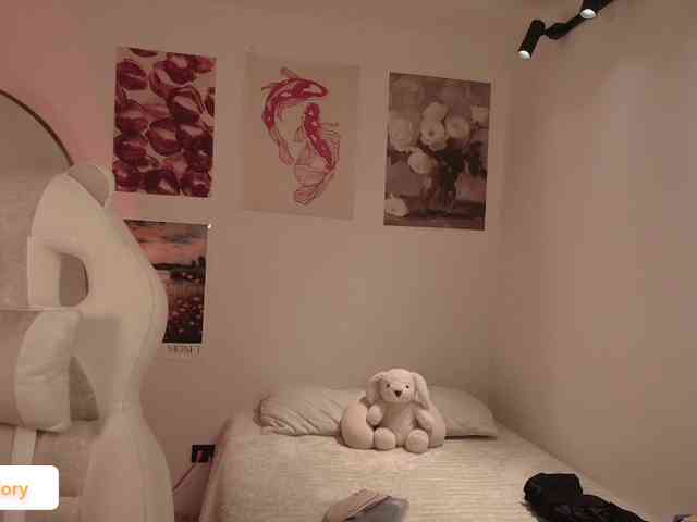 venusart webcam