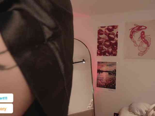 venusart webcam