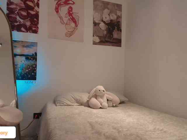 venusart webcam