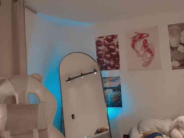 venusart webcam