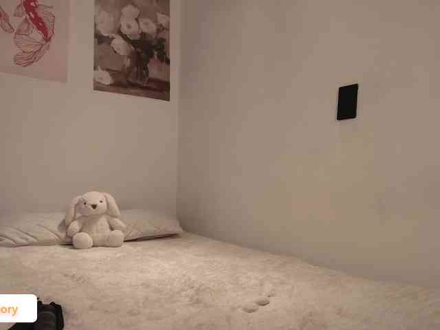 venusart webcam