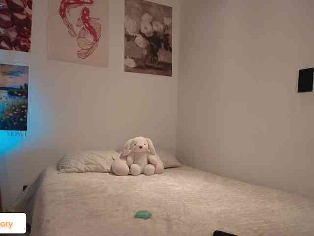 venusart webcam