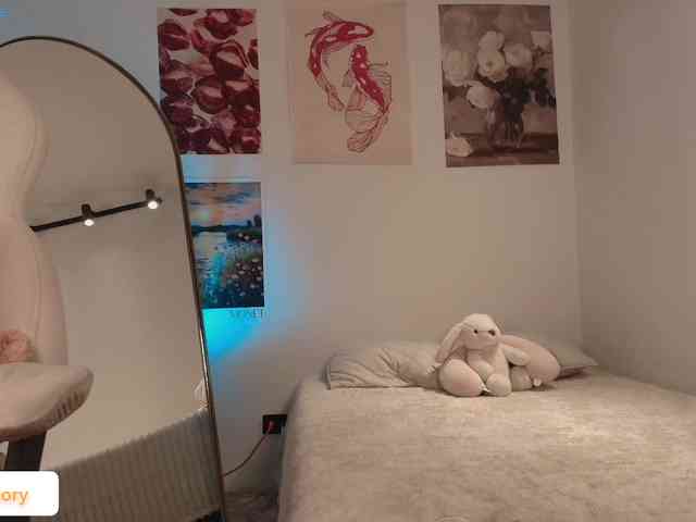 venusart webcam