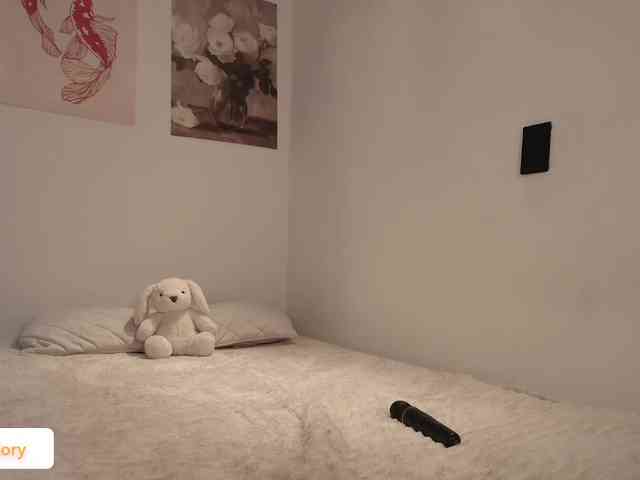 venusart webcam