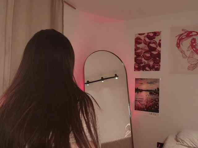 venusart webcam