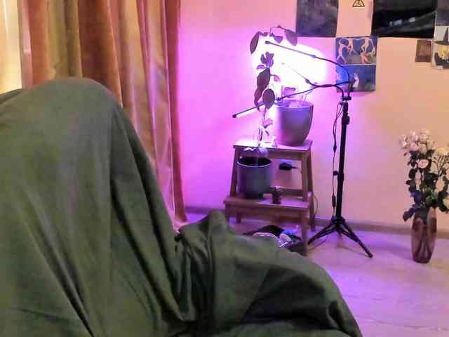 TemptingFable TemptingFable