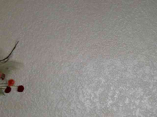 Lunaai webcam