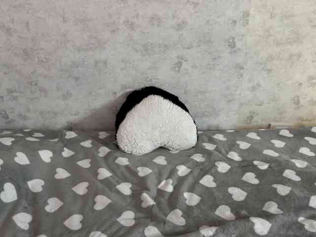 KittyNolick KittyNolick