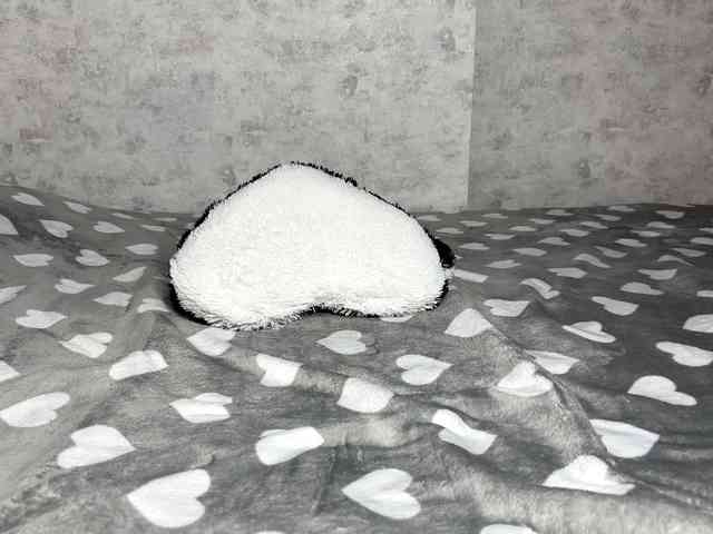 KittyNolick KittyNolick