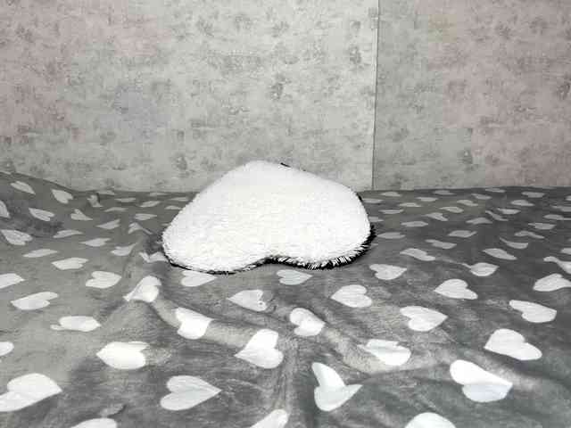 KittyNolick KittyNolick