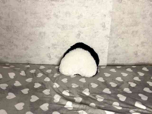 KittyNolick KittyNolick