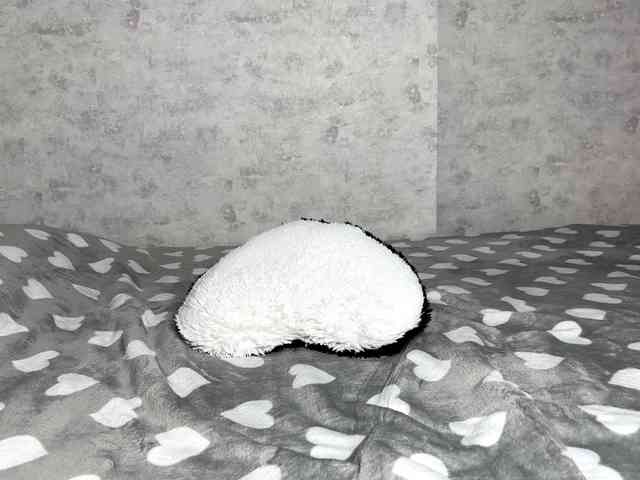 KittyNolick KittyNolick