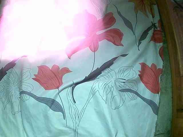 PatryciaBunny webcam