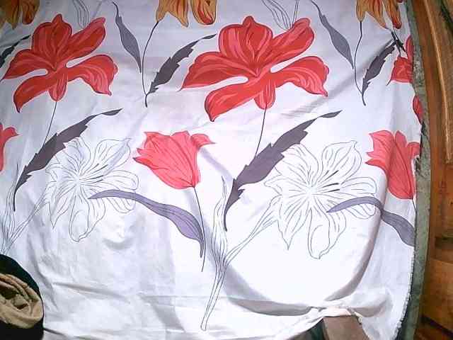 PatryciaBunny webcam