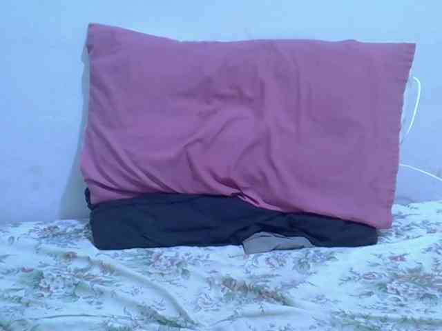 Twinkletia webcam