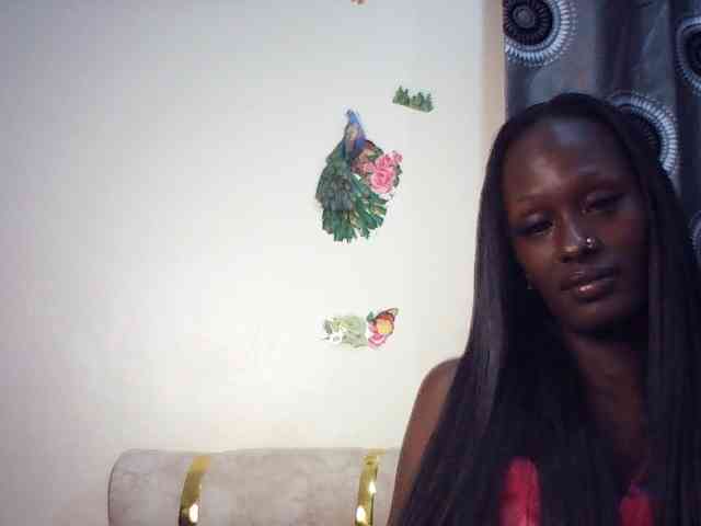 Twinkletia Twinkletia