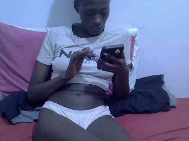 Twinkletia webcam