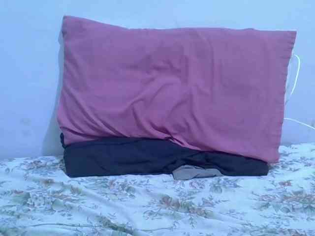 Twinkletia webcam
