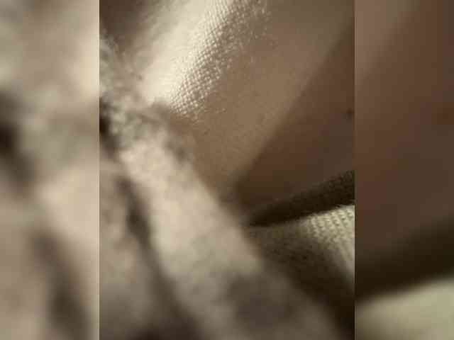 Fafancultiaete webcam