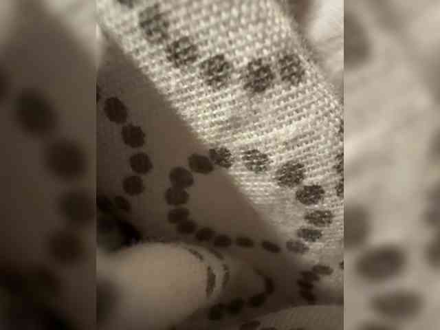 Fafancultiaete webcam