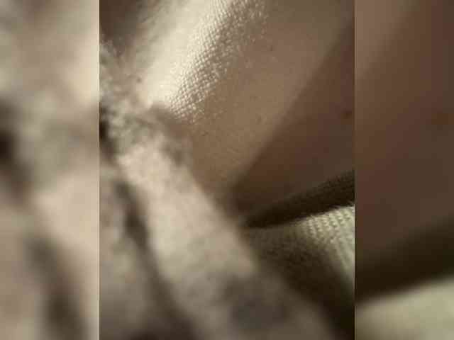 Fafancultiaete webcam