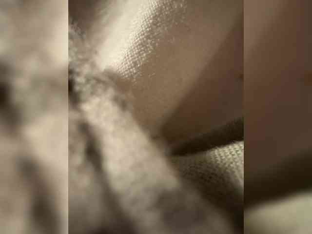 Fafancultiaete webcam