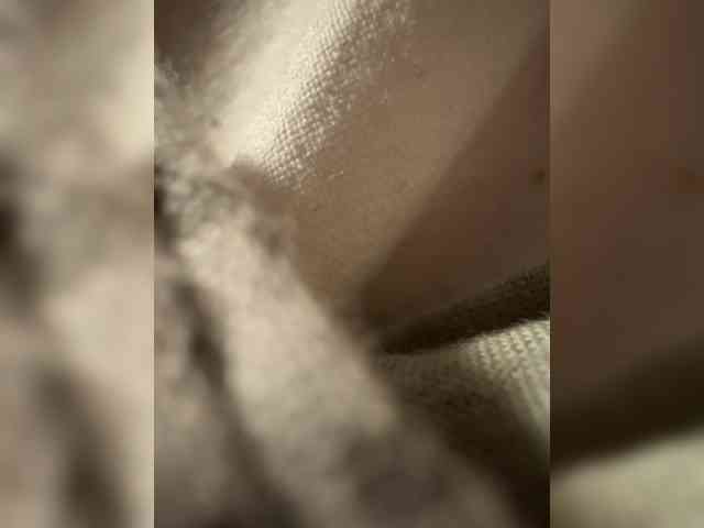 Fafancultiaete webcam