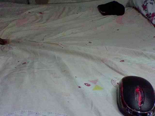 charmychassy27 webcam