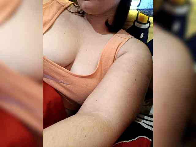 V-Vikyla webcam