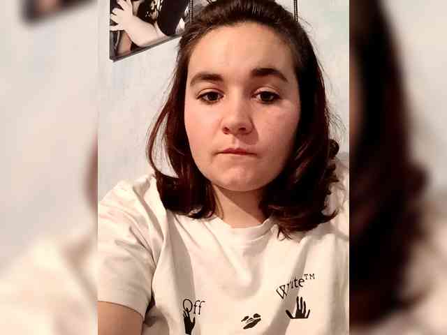 V-Vikyla webcam