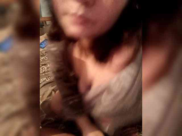 V-Vikyla webcam