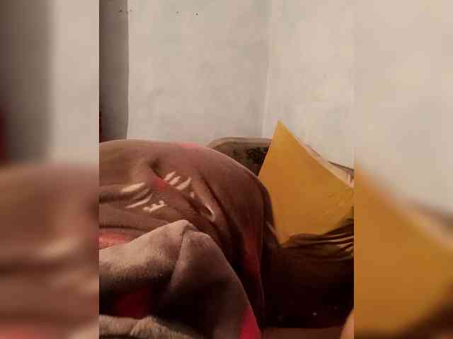 V-Vikyla webcam