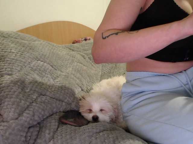 MissyDior's BongaCams show and profile