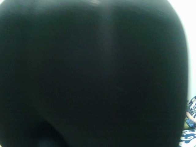 Addystuart-'s BongaCams show and profile