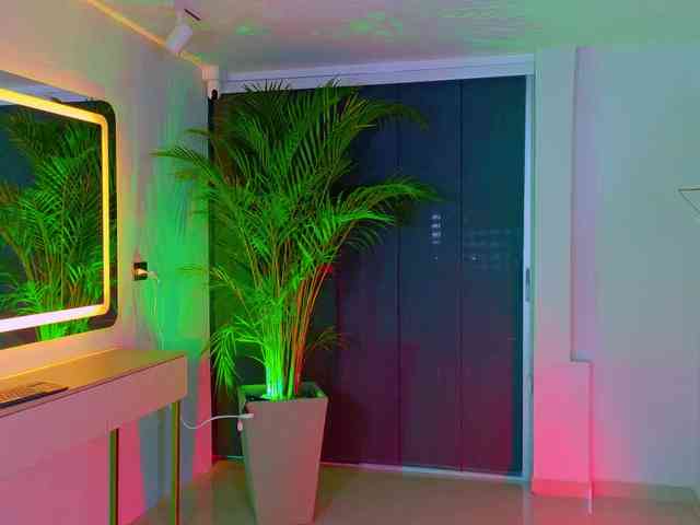 Franco-boys Franco-boys