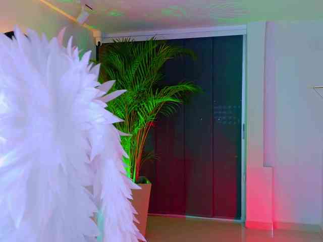 Franco-boys Franco-boys