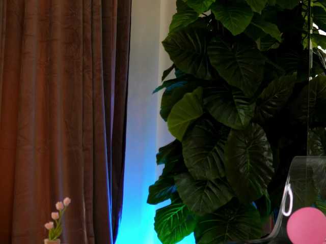 EvaAmanti's BongaCams show and profile