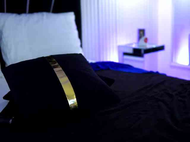 MistyWooods MistyWooods